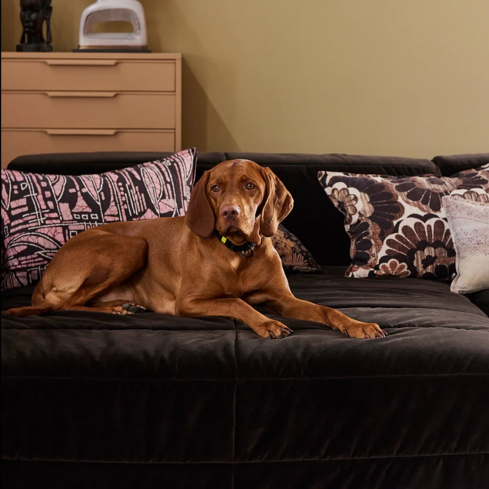Brut Sofa: Element Left Divan, Royal Velvet Espresso - Image 2