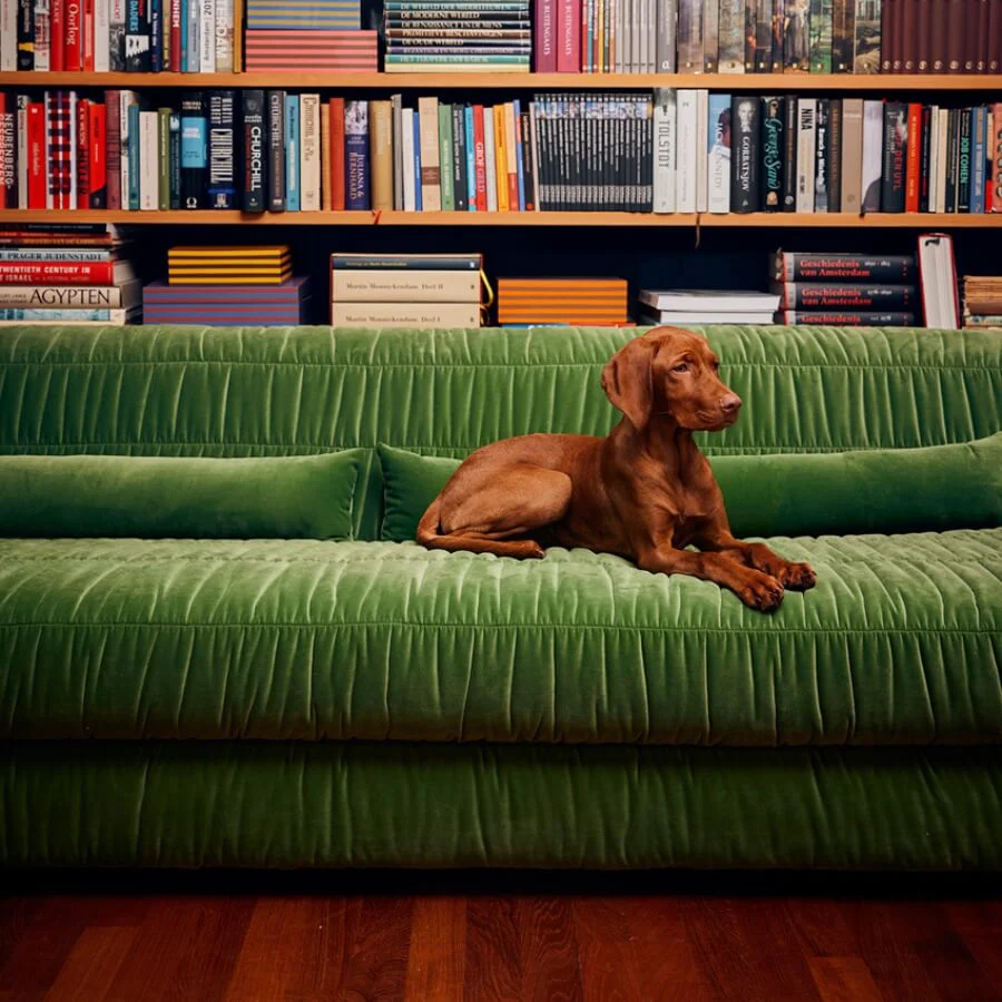 Club Couch: Royal Velvet, Green - Image 5
