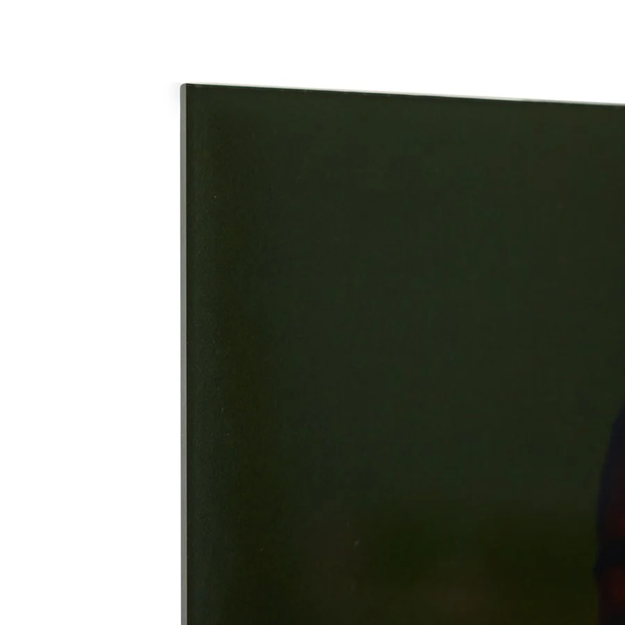 Plexi Portrait, Volt (35x50cm) - Image 3