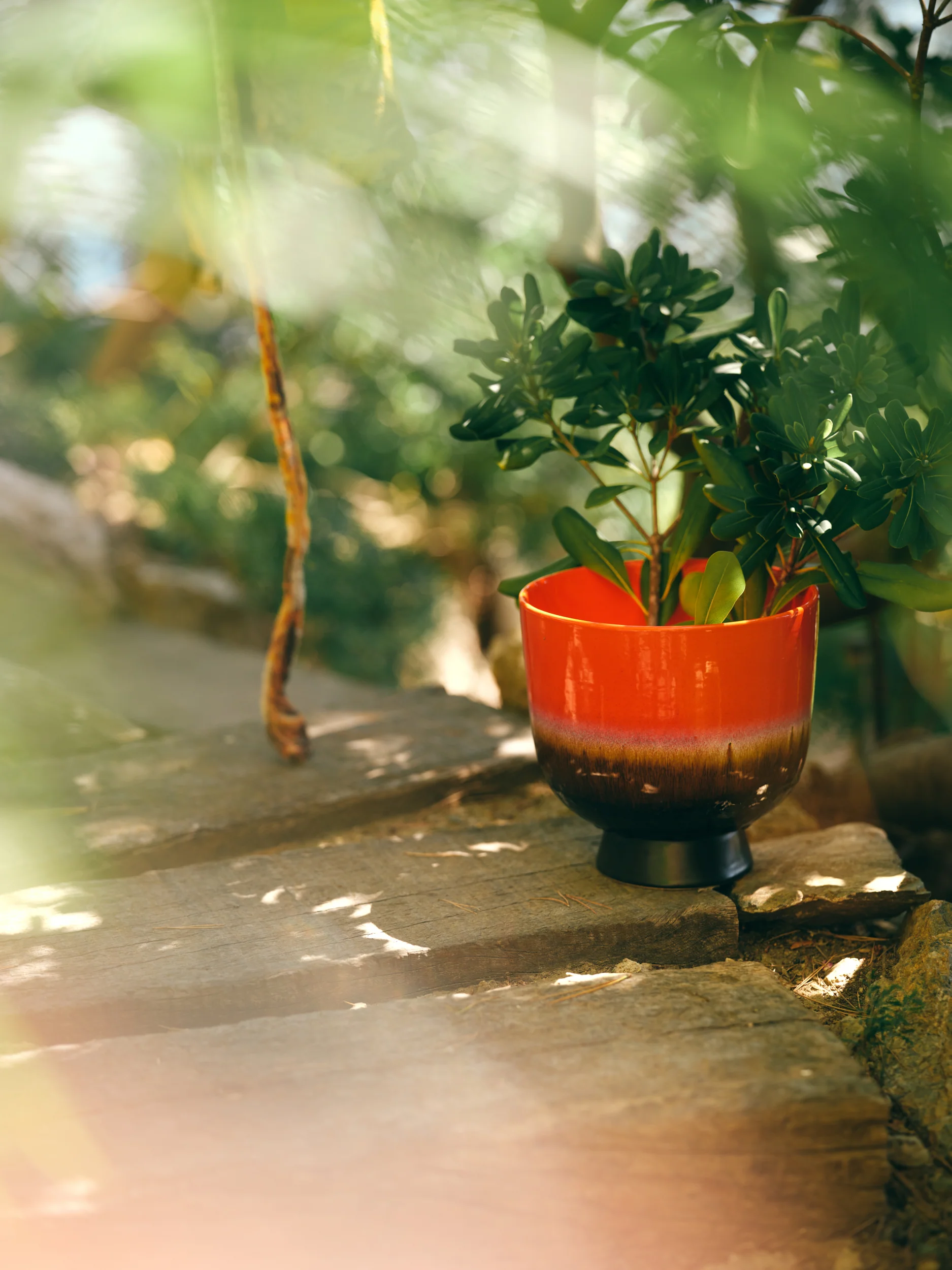 Retro Flower Pot Cherry Red - Image 5