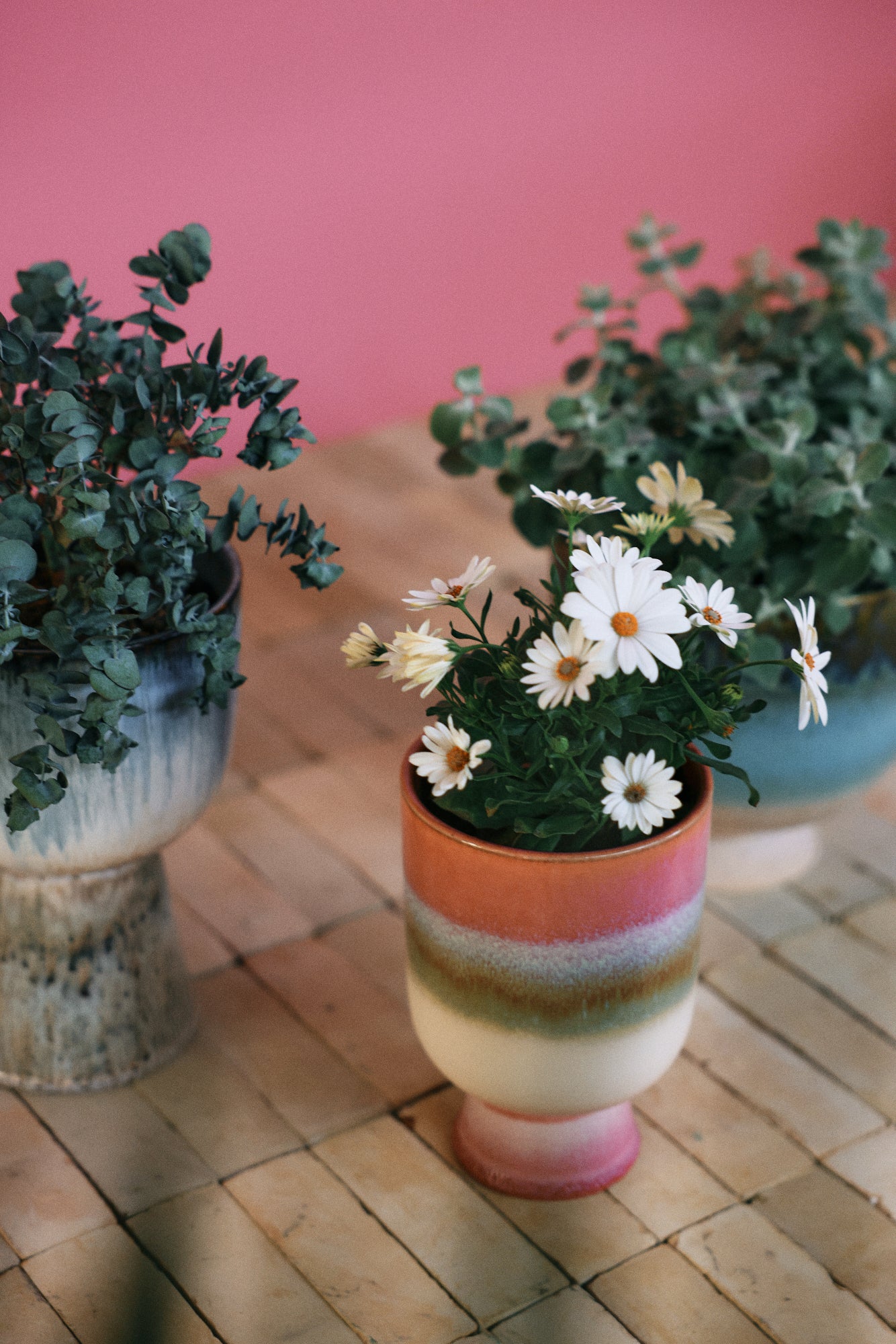 Retro Flower Pot Rosefield - Image 5