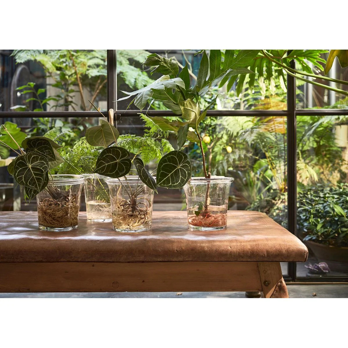 Solid Glass Flower Pot - Image 4