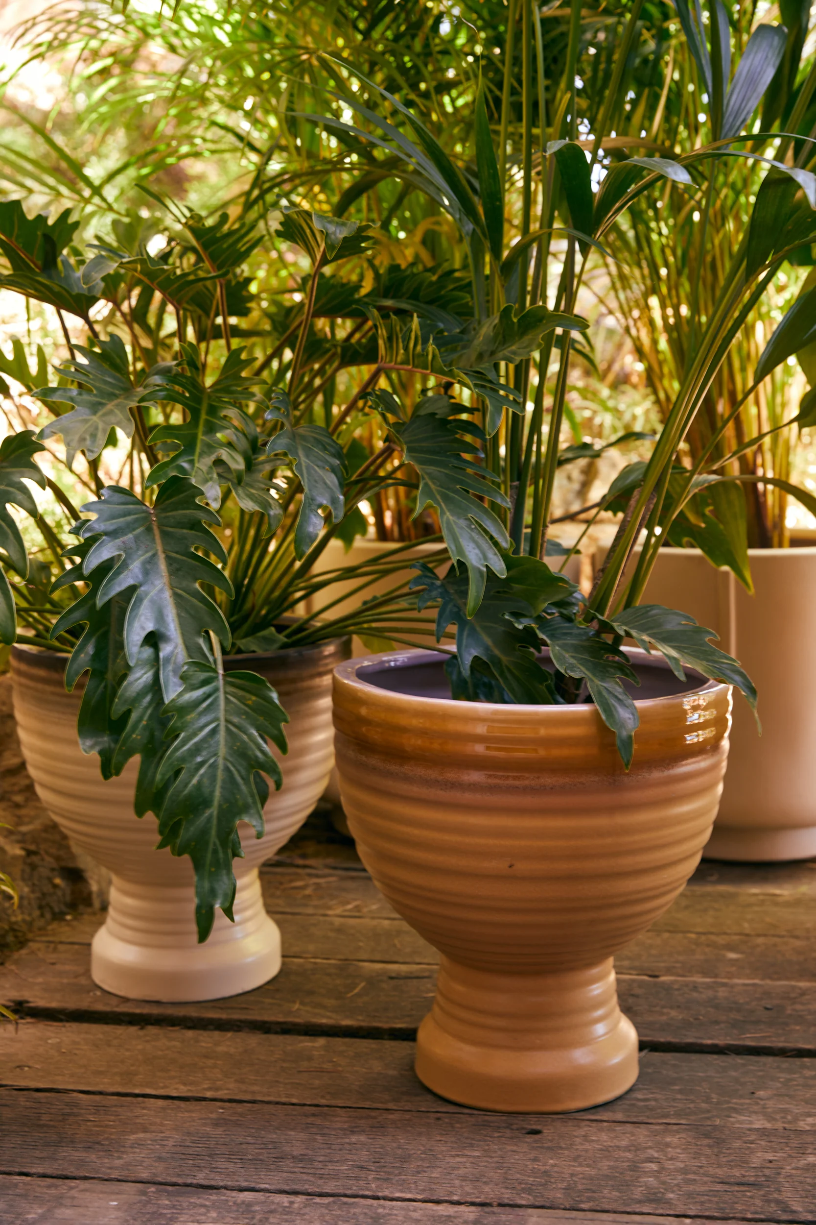 Stoneware Planter Vanilla - Image 5