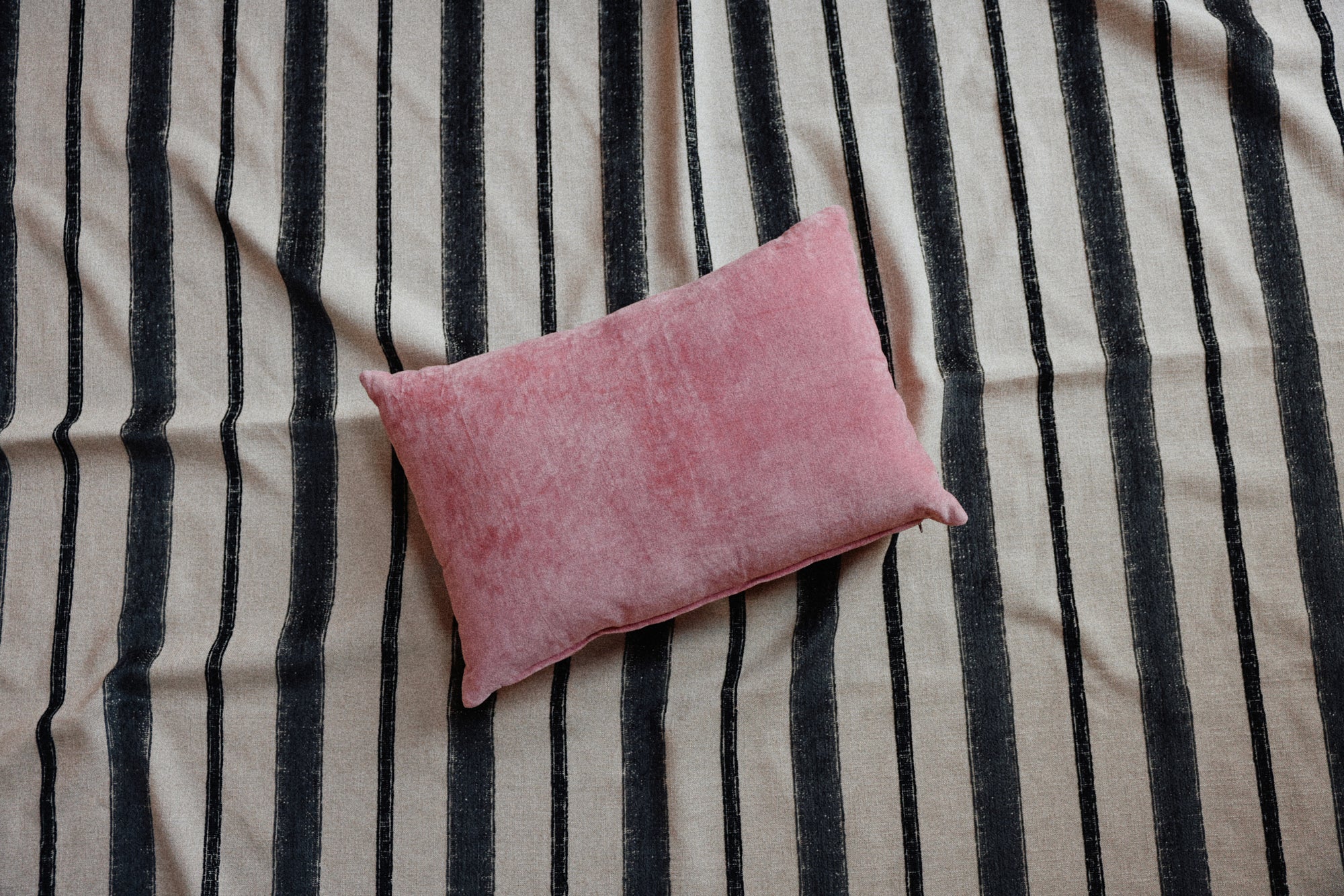 Velvet Cushion Rose (60X40cm) - Image 4